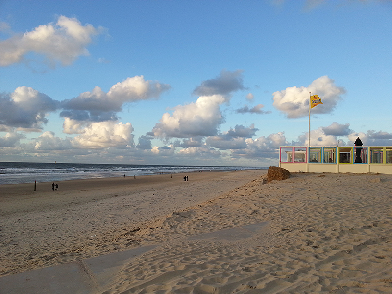 strand texel